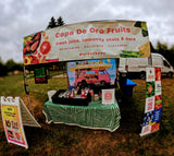 DJ Eli's Pop Up Shop Event 1-3-26 (food truck vendor booth)