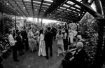 DJ Eli Event Booking (Weddings & Receptions)
